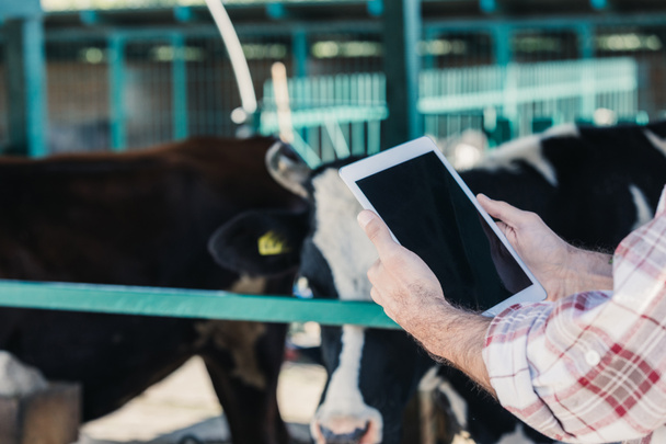 farmer using digital tablet - Photo, Image