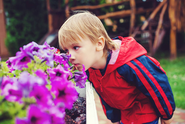 Bonito menino cheirando flores petúnias ao ar livre
. - Foto, Imagem