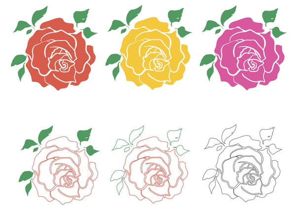3 rosas em contorno e cor
 - Vetor, Imagem