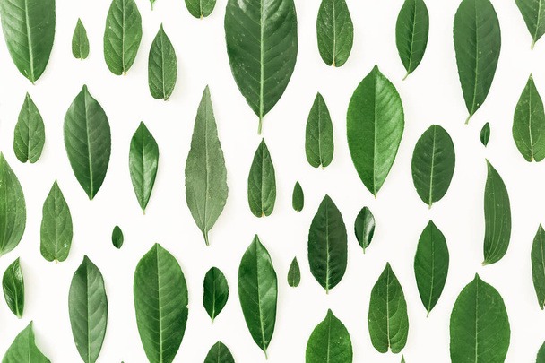 Yeşil yapraklardan oluşan yaratıcı bir düzen.  - Fotoğraf, Görsel