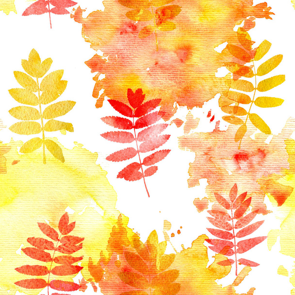 Seamless pattern with rowan leaves silhouettes - 写真・画像