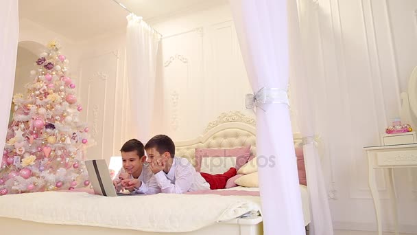 Δύο παιδιά, δίδυμο αδέλφια παίζουν στο lap-top και επικοινωνούν μεταξύ τους, Ξαπλώστε στο κρεβάτι σε φωτεινή αίθουσα με Χριστουγεννιάτικο δέντρο στη διάρκεια της ημέρας. - Πλάνα, βίντεο