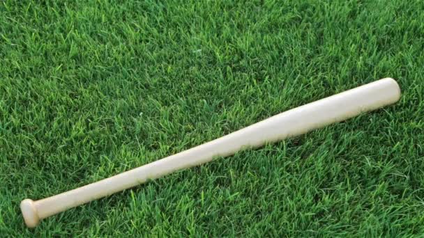 Baseball bat and ball on green grass - Footage, Video
