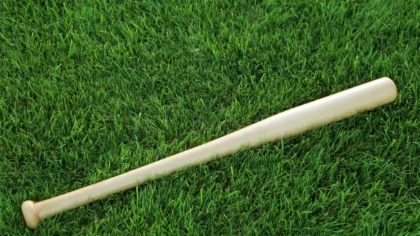 Míč a baseballovou pálkou na trávě - Záběry, video