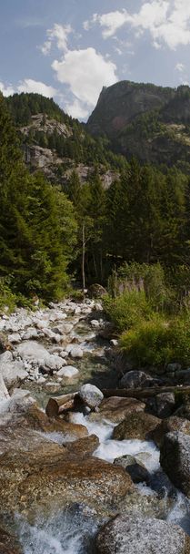 Włochy: creek i skały Mello doliny Val di Mello, zielonej dolinie, pośród granitowych gór i drzew leśnych, przemianowany trochę włoski Yosemite dolina przez miłośników przyrody - Zdjęcie, obraz