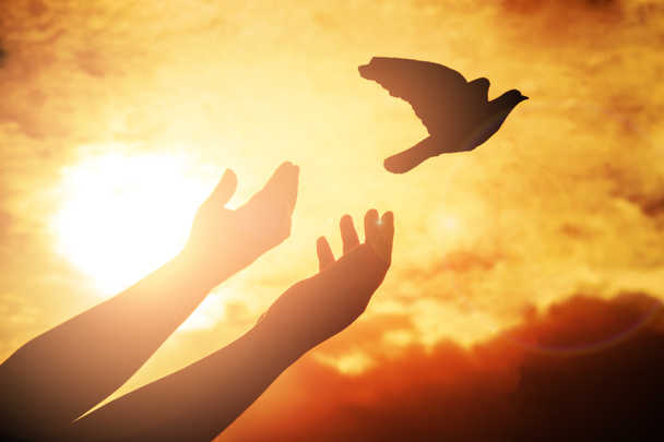 Чоловік молиться і вільний птах насолоджується природою на фоні заходу сонця
,  - Фото, зображення