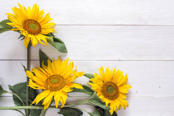 Background with a bouquet of yellow sunflowers on  white painted - Foto, Imagem