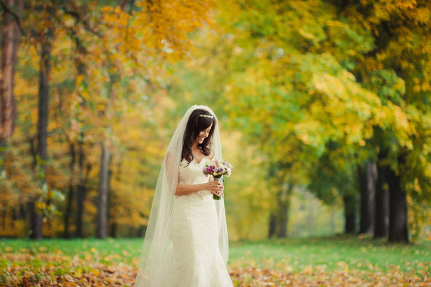 Beautiful brunette bride on a walk in autumn park - Fotoğraf, Görsel