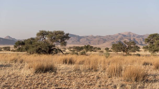 ナミビアの風景 - 写真・画像