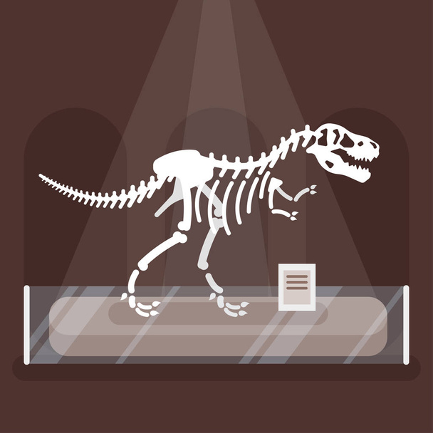 ілюстрація скелета динозавра в музеї
. - Вектор, зображення