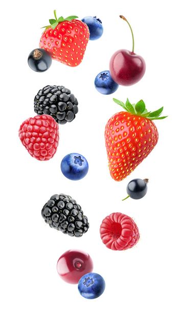 Isolated various berries - Photo, Image