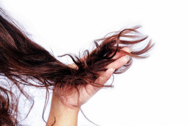 Damaged hair of woman on white background. Beauty concept. - Zdjęcie, obraz