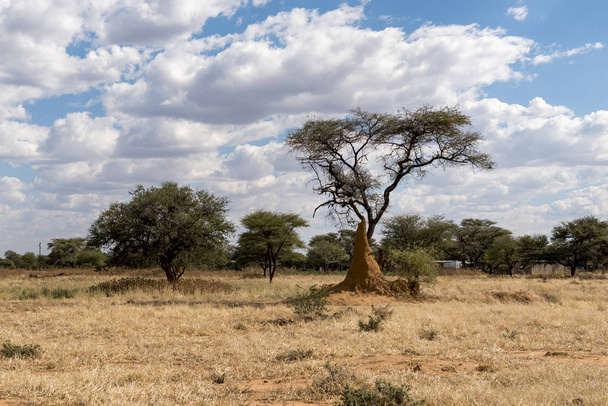 die landschaft in namibia - Foto, Bild
