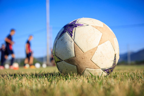Soccer ball on a football field background - Photo, Image
