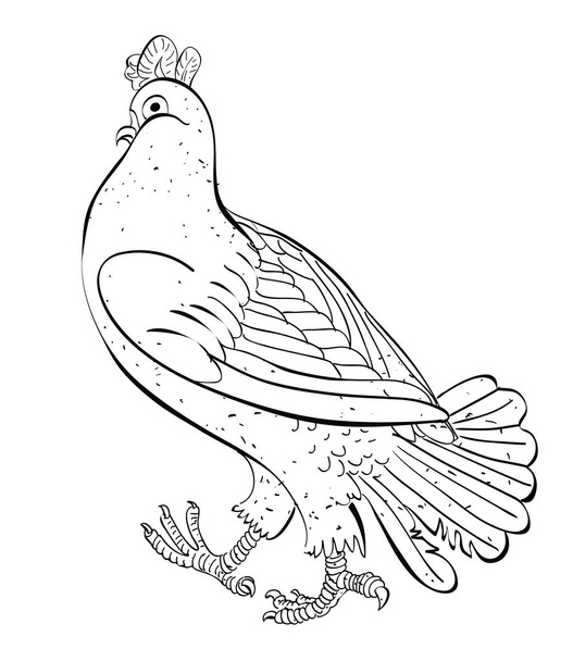 Cartoon image of pigeon - ベクター画像