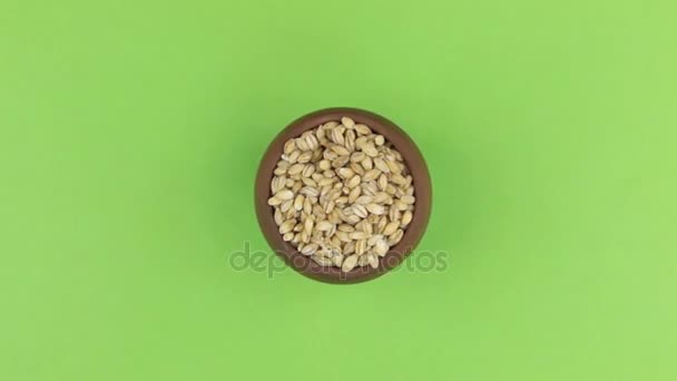 Zoom of a clay pot filled with pearl barley grain. Isolated green screen. - Materiał filmowy, wideo