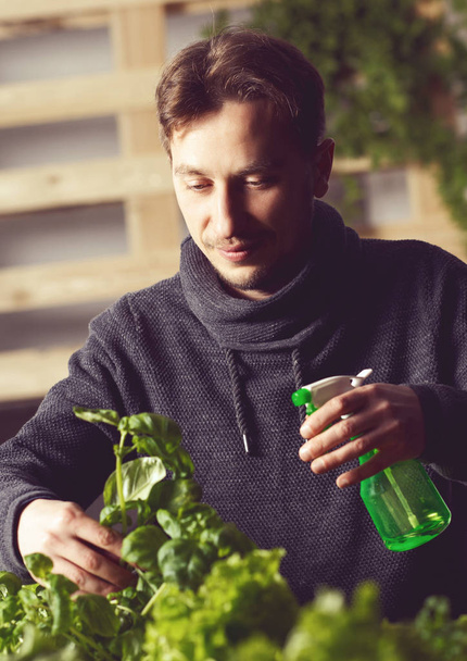 handsome grower checking plants  - Foto, afbeelding