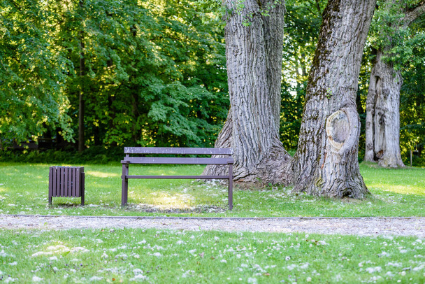 bench in  beautiful park in autumn - Photo, Image