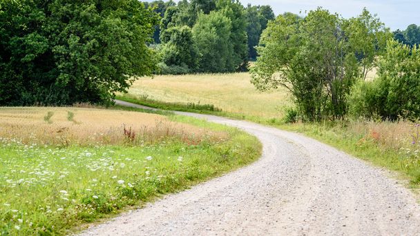 romantic gravel road in country under blue sky - Photo, Image