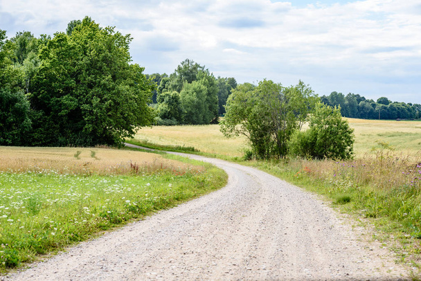romantic gravel road in country under blue sky - Photo, Image