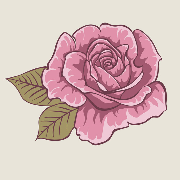 Red rose. Isolated flower on gray background. - Vektor, kép