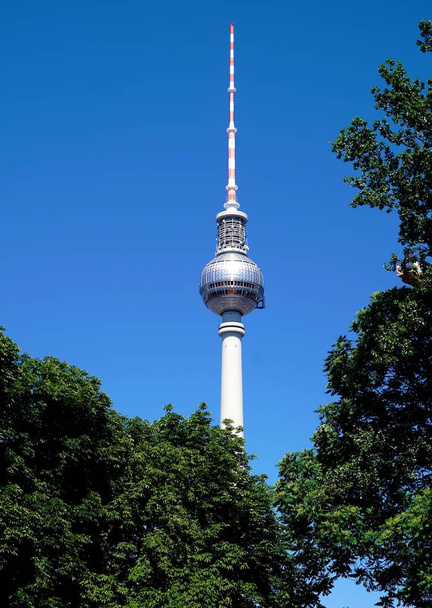 berliner fernsehturm vor blauem himmel hinter bäumen - Foto, Bild