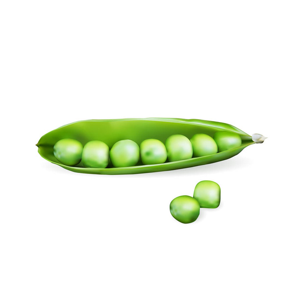 Realistické zelený hrášek - Vektor, obrázek