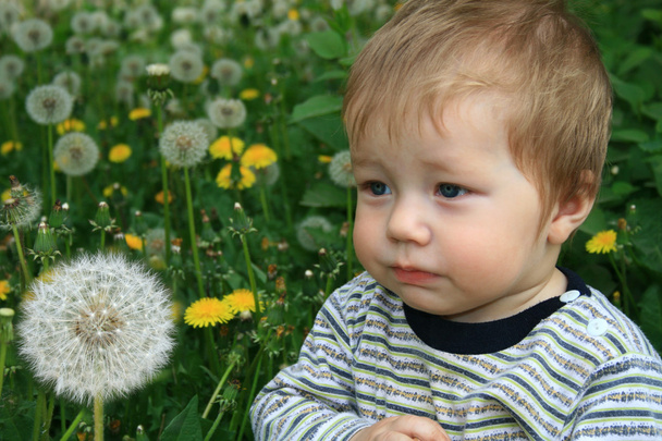 Child with the dandelion - Φωτογραφία, εικόνα