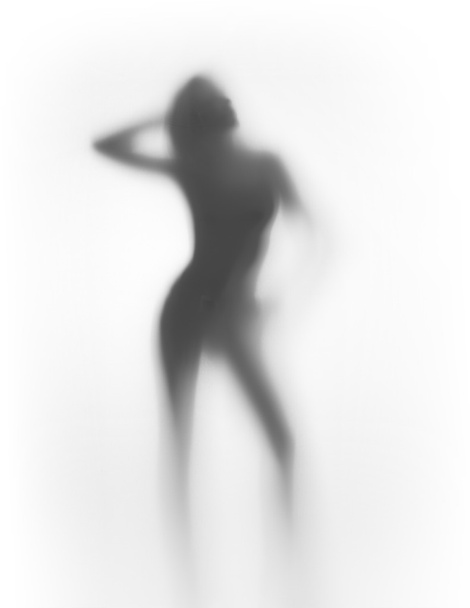 Diffuse silhouette of a sexy woman - Zdjęcie, obraz