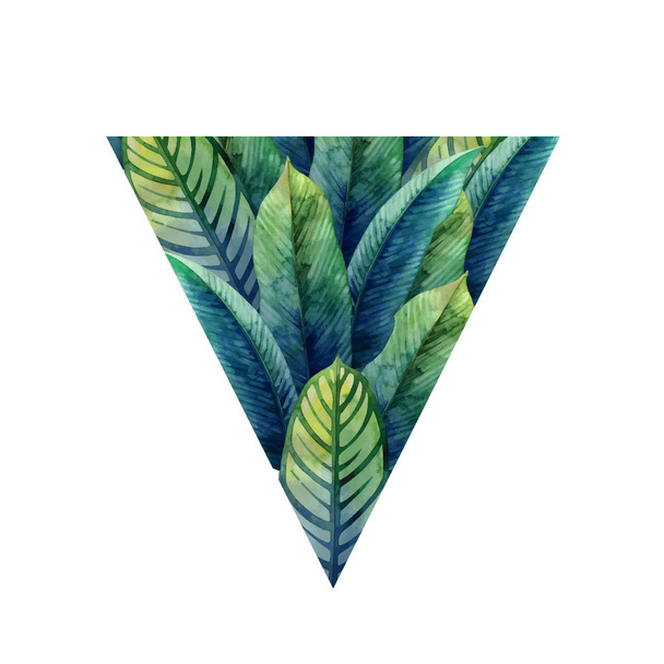 Acquerello heliconia foglie
 - Vettoriali, immagini