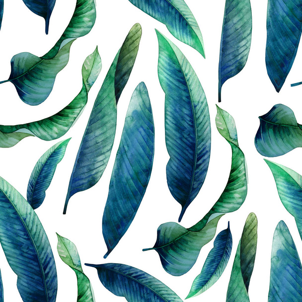 Watercolor heliconia leaves pattern - Valokuva, kuva