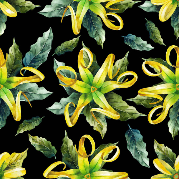 Aquarel ylang ylang patroon - Foto, afbeelding