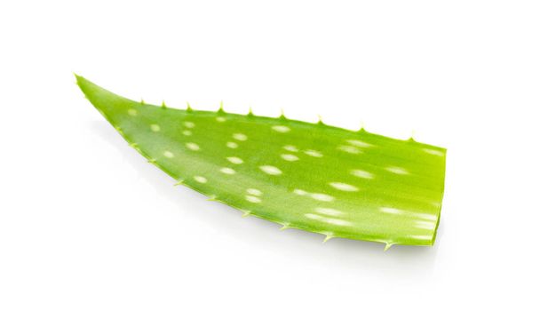Aloe vera leaf - Photo, Image