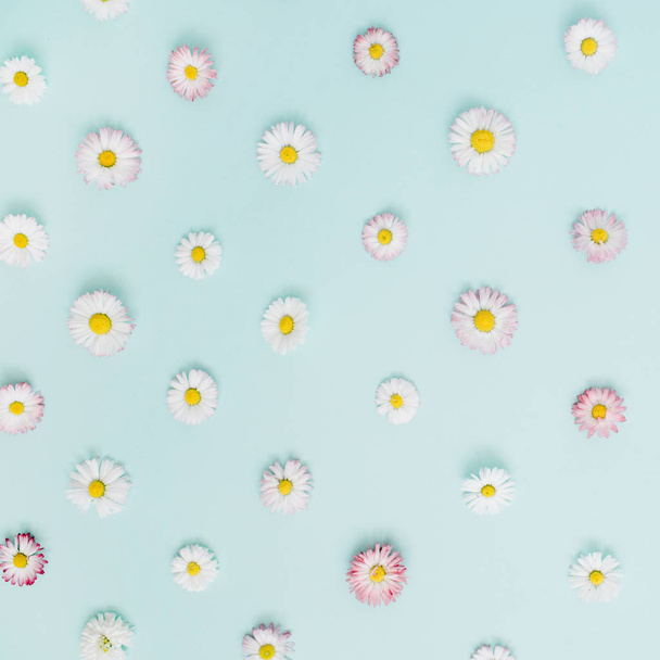 Floral pattern of white and pink chamomile daisy flowers - Fotó, kép