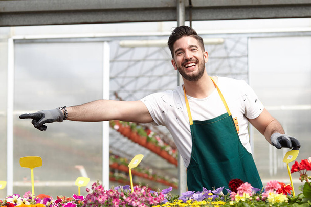 feliz vivero masculino trabajador plantas de recorte en invernadero
 - Foto, Imagen