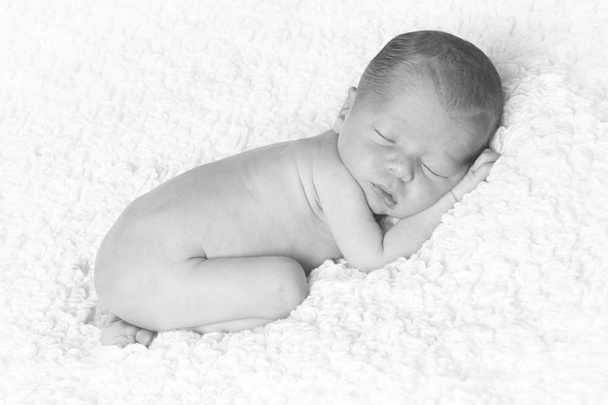Newborn baby boy - 写真・画像