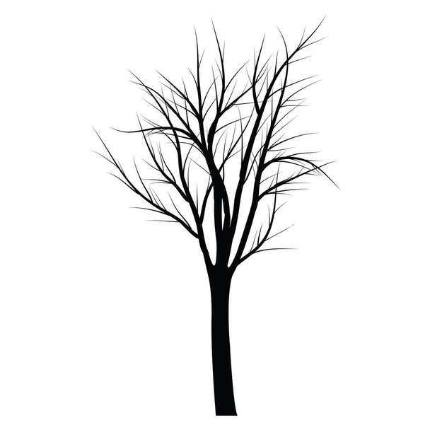 Trees with dead branches - Vector, Image
