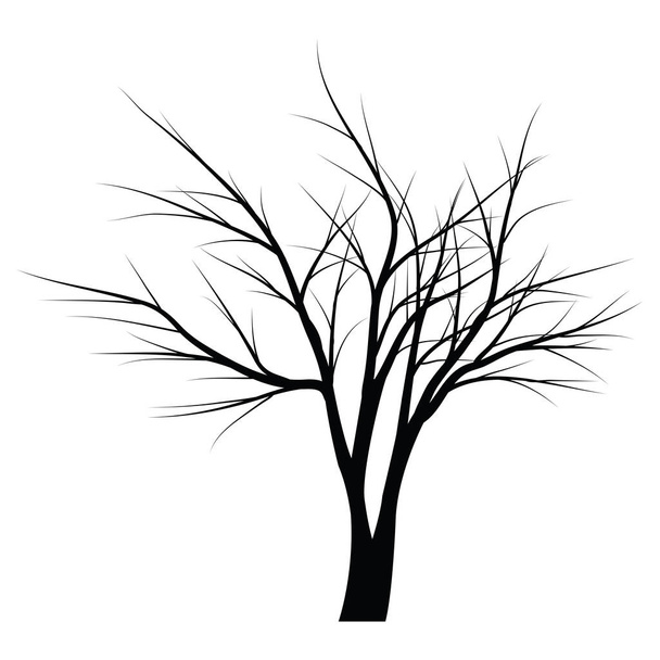 Árvores com ramos mortos
 - Vetor, Imagem