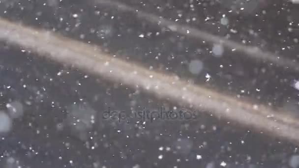 Schneeflocken fallen über winterliche Straße - Filmmaterial, Video