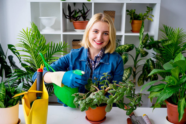 Florist at work in greenhouse - Foto, imagen