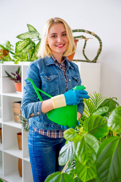 Florist at work in greenhouse - Фото, изображение