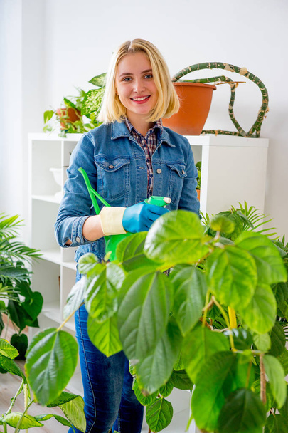 Florist at work in greenhouse - Фото, изображение