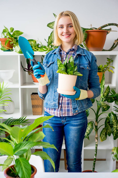 Florist at work in greenhouse - Fotografie, Obrázek