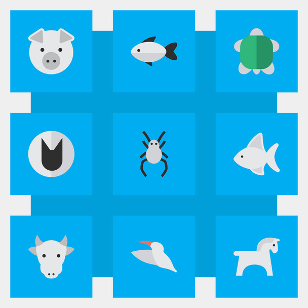 Vector illustratie Set van eenvoudige dieren iconen. Elementen Tortoise, Steed, Tarantula en andere synoniemen Tortoise, dier en melk. - Vector, afbeelding