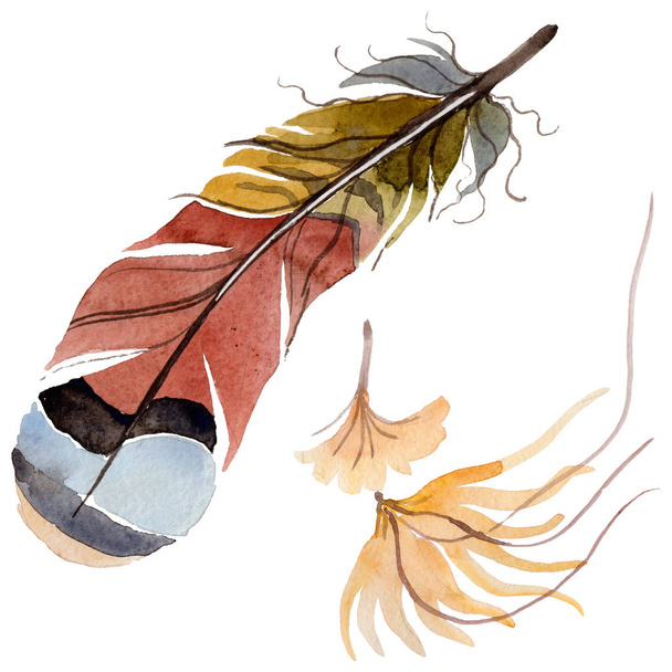 Watercolor bird feather from wing isolated. - Foto, immagini