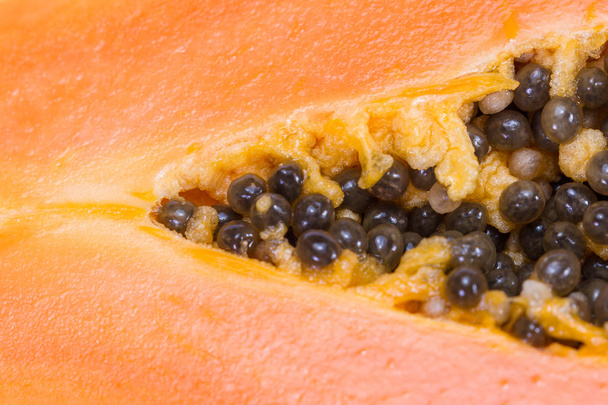 Papaya zaden close up  - Foto, afbeelding
