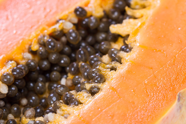 papaya seeds close up  - Fotó, kép