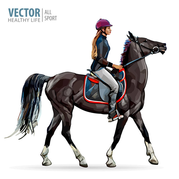 Horse with rider. Jockey on horse. Horse riding. Woman on horse. Sport. Vector illustration. - Vector, Image