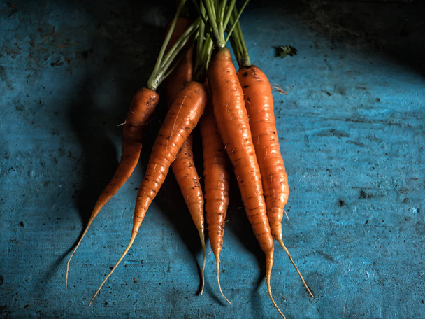 Carrots bunch freshness harvest carotene antioxidant vitamin for recipes - Foto, Imagem