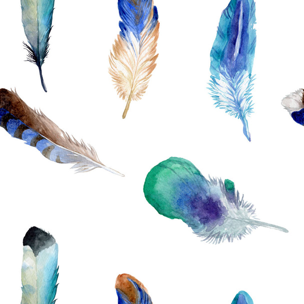 Watercolor bird feather from wing isolated. - Foto, afbeelding